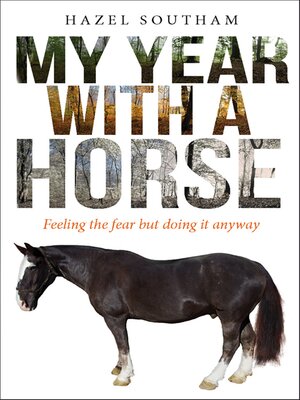 cover image of My Year With a Horse